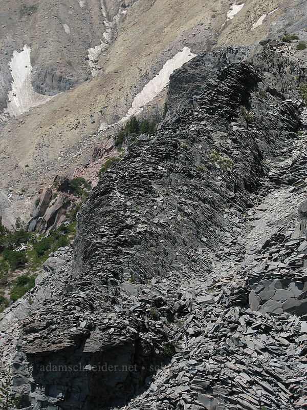 folded volcanic rock [Gnarl Ridge, Mt. Hood Wilderness, Hood River County, Oregon]