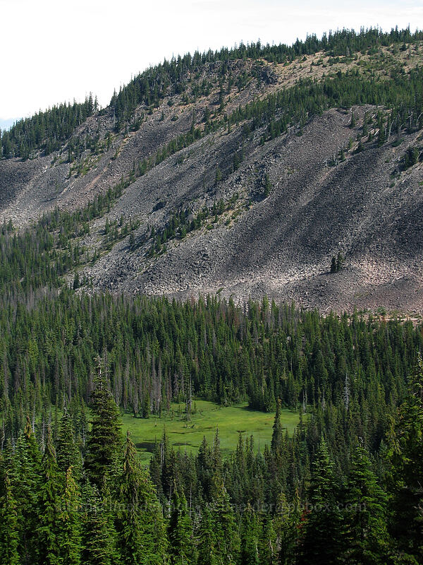 scree-covered slopes above wetlands [Pacific Crest Trail, Mt. Jefferson Wilderness, Marion County, Oregon]