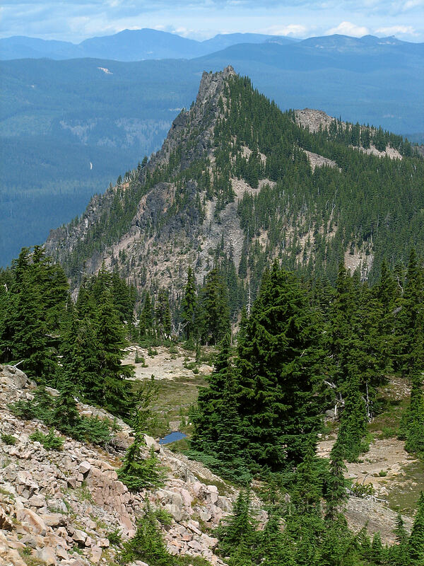 peak west of Babe Lake [Pacific Crest Trail, Mt. Jefferson Wilderness, Marion County, Oregon]