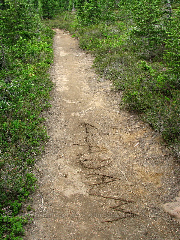 personalized trail sign [Pacific Crest Trail, Mt. Jefferson Wilderness, Marion County, Oregon]
