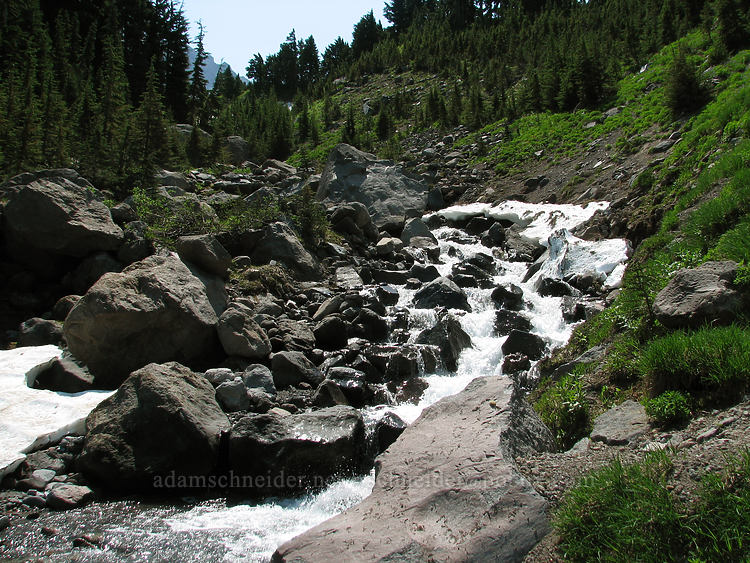 West Fork of Ladd Creek [Timberline Trail, Mt. Hood Wilderness, Hood River County, Oregon]