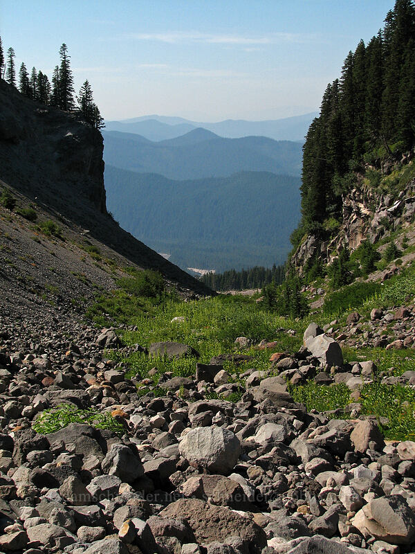 Rushingwater Canyon [Pacific Crest Trail, Mt. Hood Wilderness, Oregon]