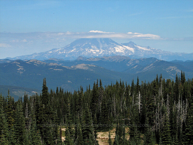 Mount Rainier [High Camp Trail, Mt. Adams Wilderness, Skamania County, Washington]