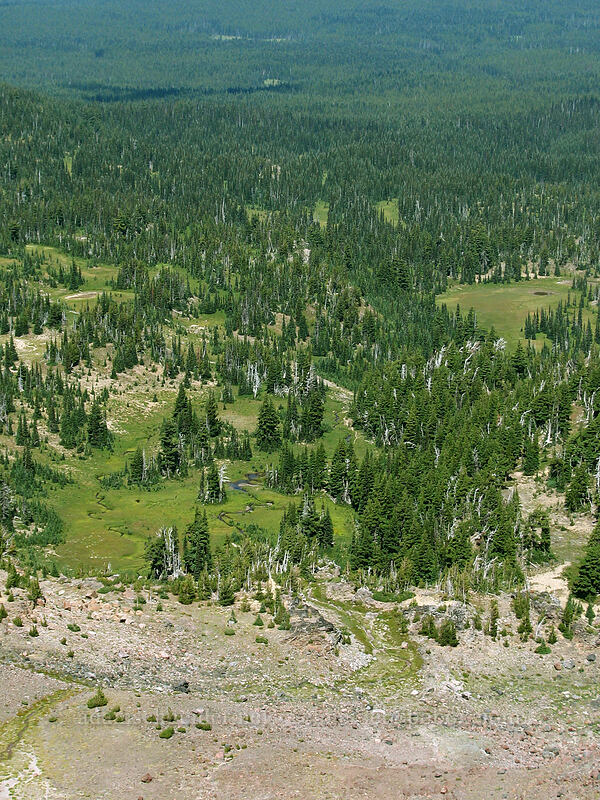 meadows near Killen Creek [Adams Glacier Meadows, Mt. Adams Wilderness, Yakima County, Washington]