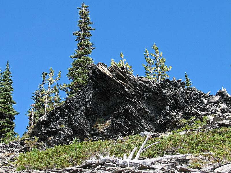 folded volcanic rocks [Pacific Crest Trail, Mt. Adams Wilderness, Skamania County, Washington]
