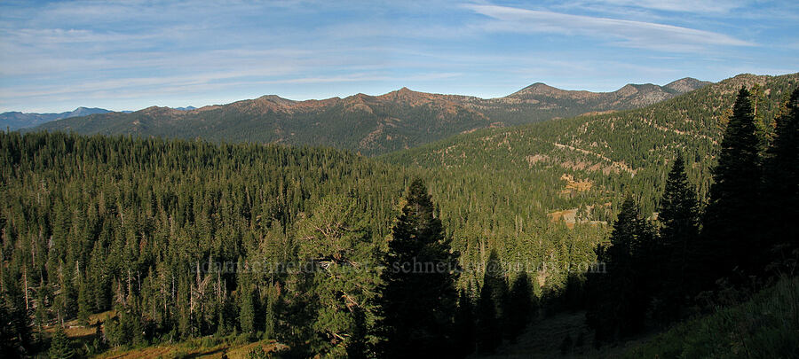 Scott Mountains [Pacific Crest Trail, Shasta-Trinity National Forest, Trinity County, California]