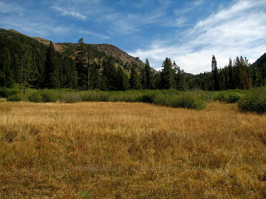 autumn meadow [Deadfall Meadows, Shasta-Trinity National Forest, Trinity County, California]