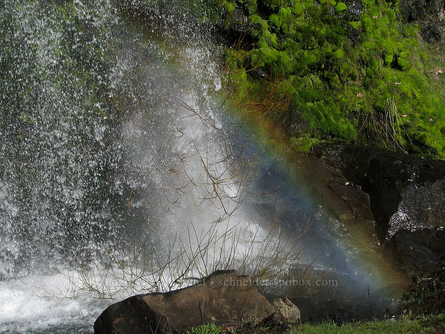 rainbow in Lower Labyrinth Falls [Old Highway 8, Gifford Pinchot National Forest, Klickitat County, Washington]