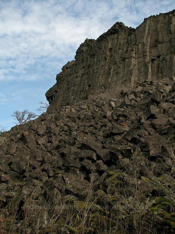 columnar basalt [The Labyrinth, Gifford Pinchot National Forest, Klickitat County, Washington]