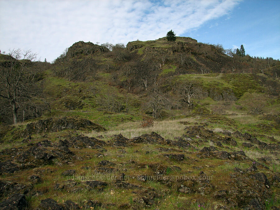 basalt outcrops [The Labyrinth, Gifford Pinchot National Forest, Klickitat County, Washington]