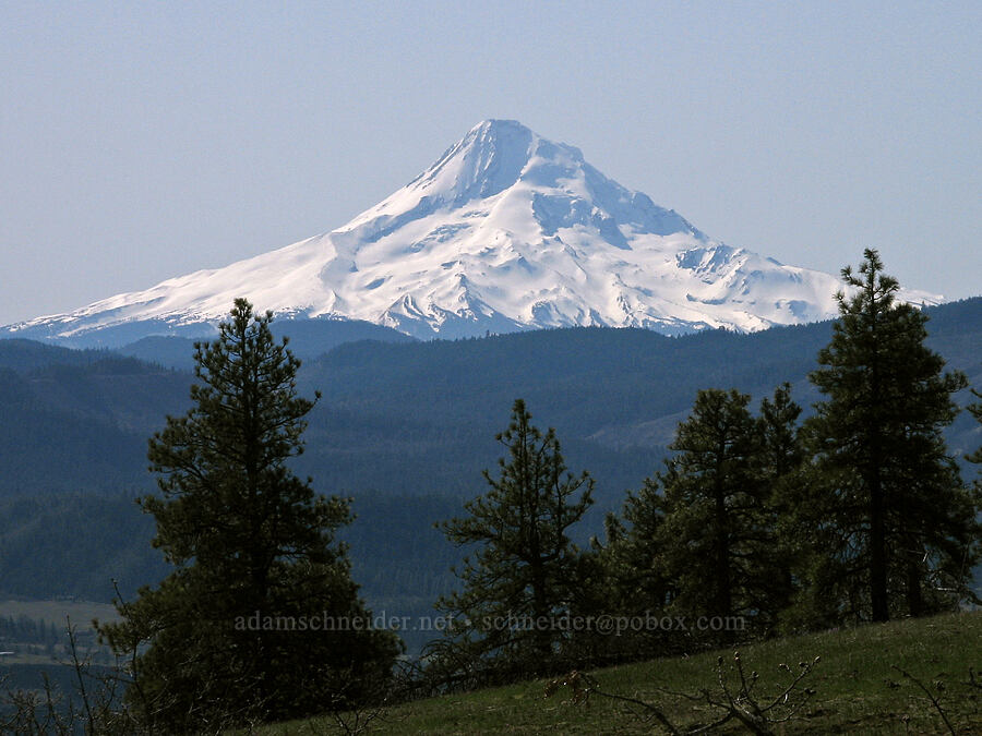 Mount Hood [Tracy Hill, Gifford Pinchot National Forest, Klickitat County, Washington]