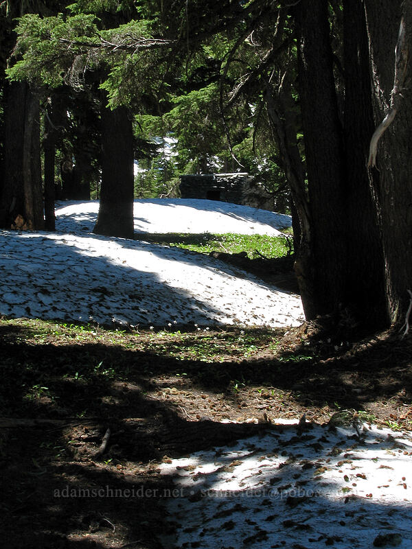 melting snow near the Cairn Basin shelter [Cairn Basin, Mt. Hood Wilderness, Hood River County, Oregon]