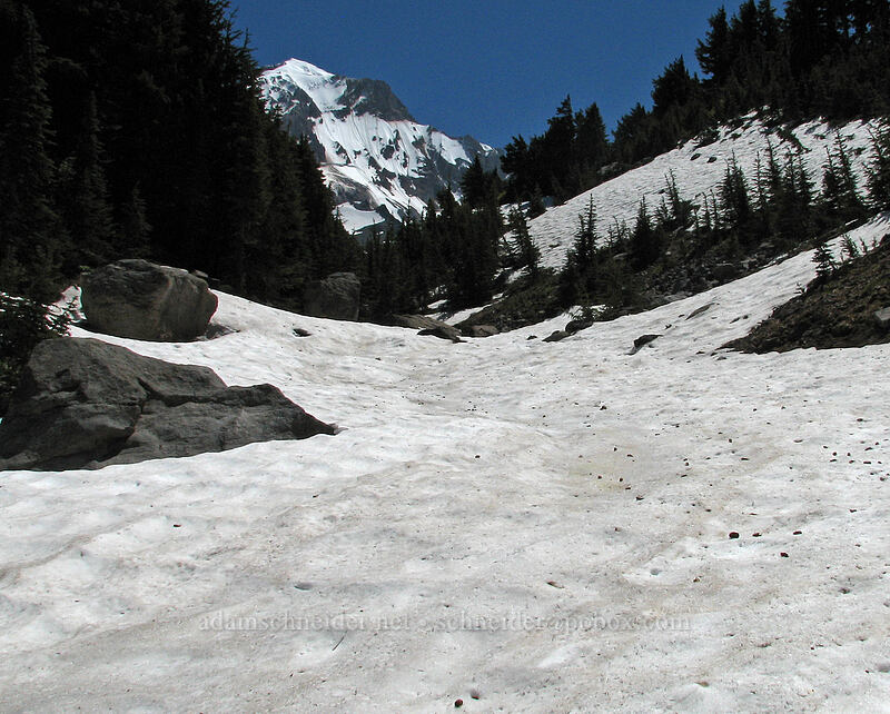 snow covering the west fork of Ladd Creek [Timberline Trail, Mt. Hood Wilderness, Hood River County, Oregon]