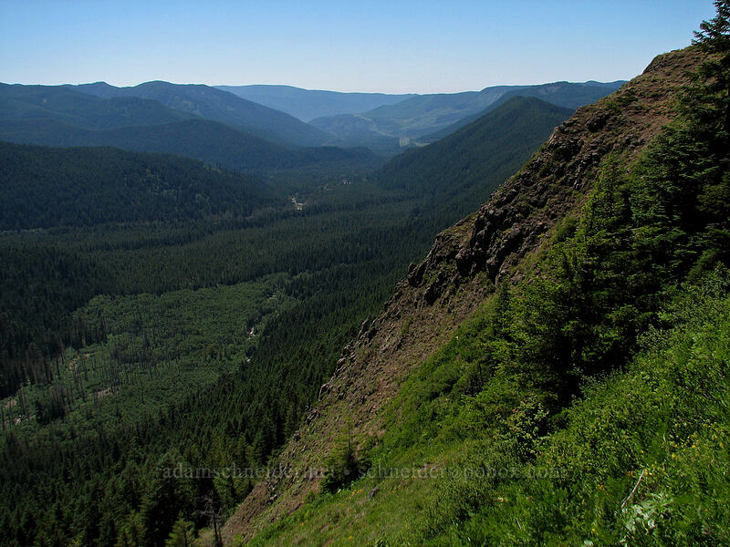 view from above the trail [Bald Mountain, Mt. Hood Wilderness, Clackamas County, Oregon]