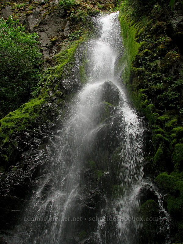 Summit Creek Falls [Summit Creek Canyon, Columbia River Gorge, Oregon]