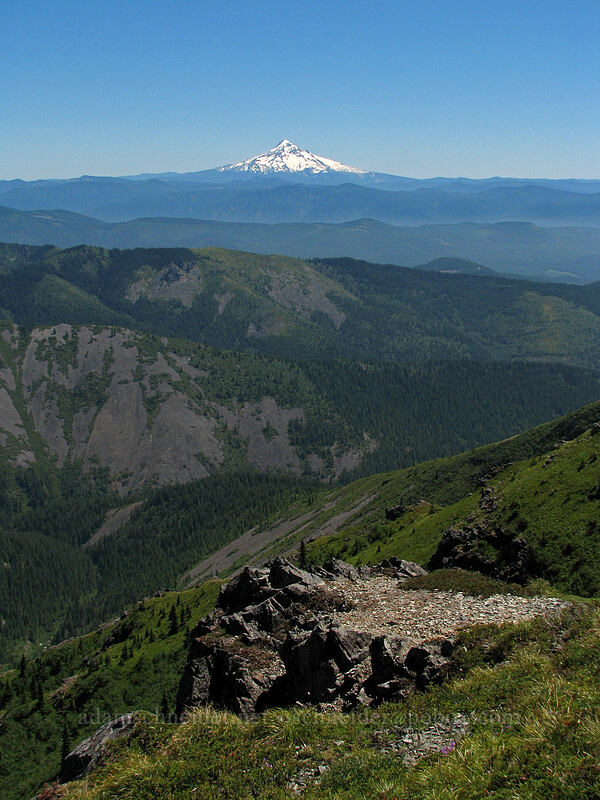 Mt. Hood [Silver Star Mountain summit, Gifford Pinchot Nat'l Forest, Washington]