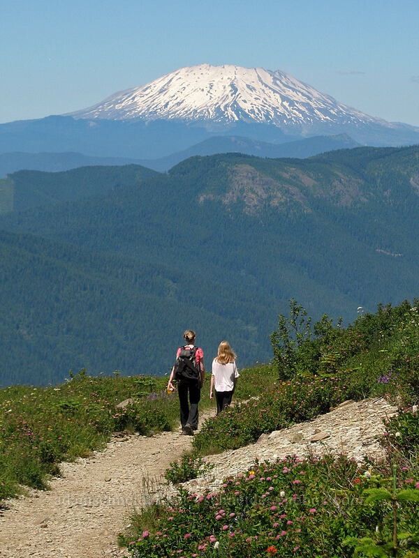 Mt. St. Helens & hikers [Silver Star Mountain, Gifford Pinchot Nat'l Forest, Skamania County, Washington]