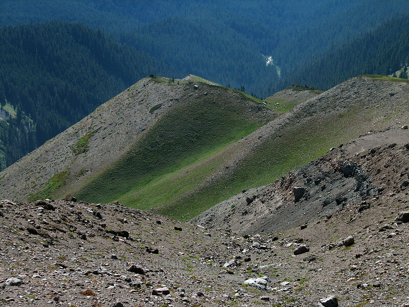 green slopes [west rim of Zigzag Canyon, Mt. Hood Wilderness, Clackamas County, Oregon]