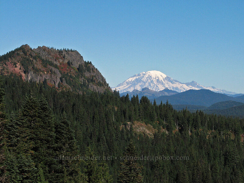Sawtooth Mountain & Mount Rainier [Indian Heaven Trail, Indian Heaven Wilderness, Skamania County, Washington]