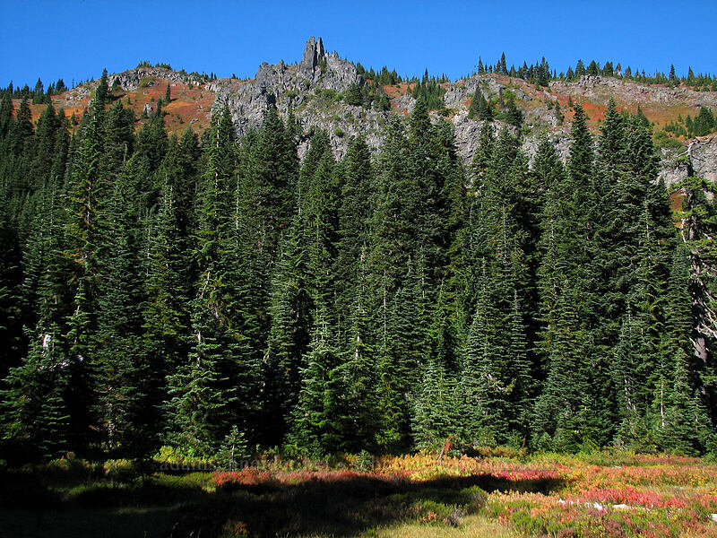 Bird Mountain [Indian Heaven Trail, Indian Heaven Wilderness, Washington]