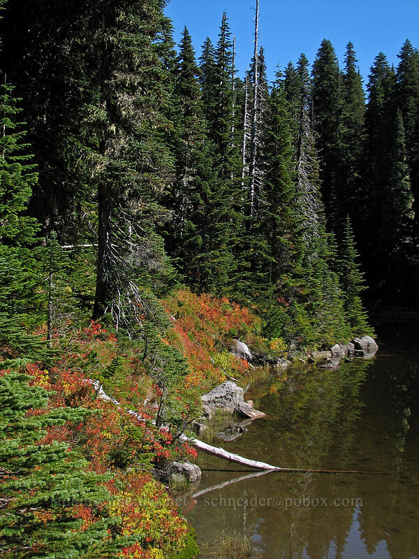 fall colors at Cultus Lake [Indian Heaven Trail, Indian Heaven Wilderness, Skamania County, Washington]