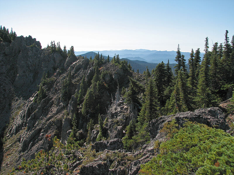 central ridge of Lemei Rock [north summit of Lemei Rock, Indian Heaven Wilderness, Skamania County, Washington]