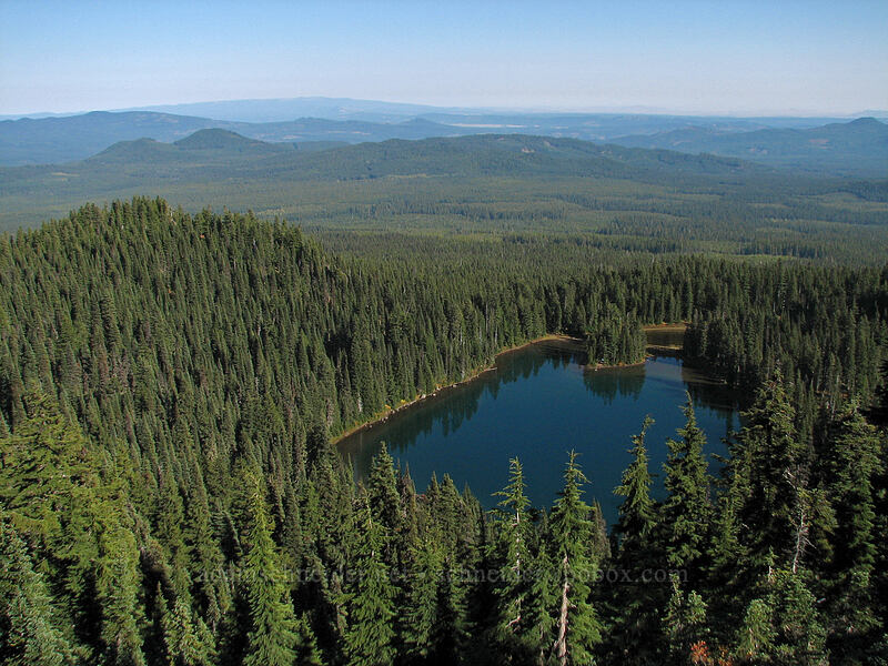 Wapiki Lake [Lemei Trail, Indian Heaven Wilderness, Skamania County, Washington]