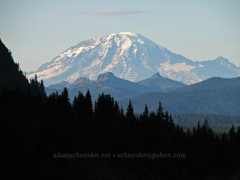 Mount Rainier [Indian Heaven Trail, Indian Heaven Wilderness, Skamania County, Washington]
