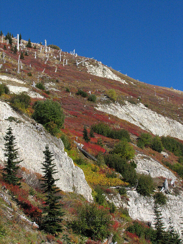 cliffs and fall colors [Boundary Trail, Mt. St. Helens National Volcanic Monument, Skamania County, Washington]