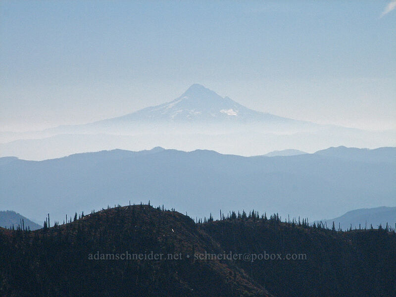 Mount Hood [Boundary Trail, Mt. St. Helens National Volcanic Monument, Skamania County, Washington]