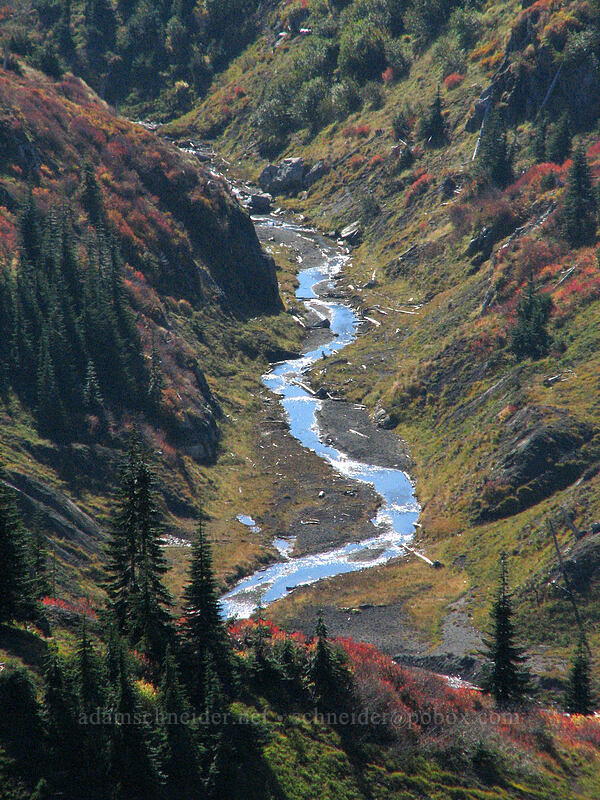 stream that flows into Spirit Lake [Boundary Trail, Mt. St. Helens National Volcanic Monument, Skamania County, Washington]