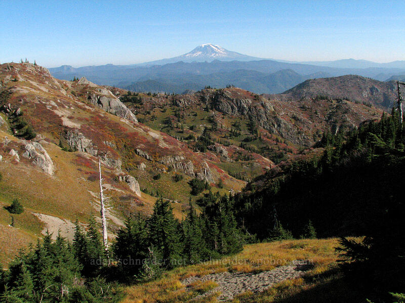 Mount Adams [Boundary Trail, Mt. St. Helens National Volcanic Monument, Skamania County, Washington]