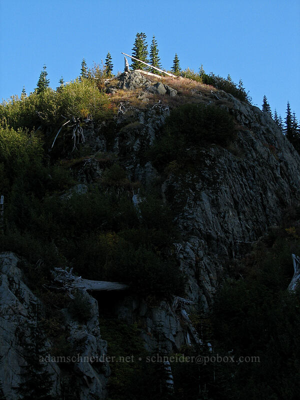 last daylight on a ridge [Boundary Trail, Gifford Pinchot Nat'l Forest, Skamania County, Washington]