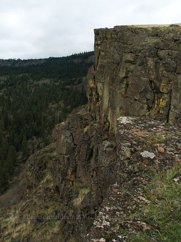 Coyote Wall [top of Coyote Wall, Klickitat County, Washington]