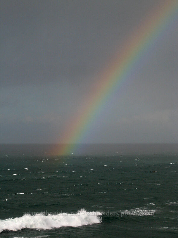 rainbow [Yaquina Head, Lincoln County, Oregon]