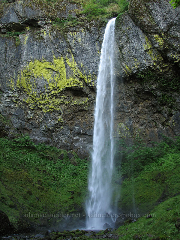 Elowah Falls [Elowah Falls Trail, John B. Yeon State Park, Multnomah County, Oregon]