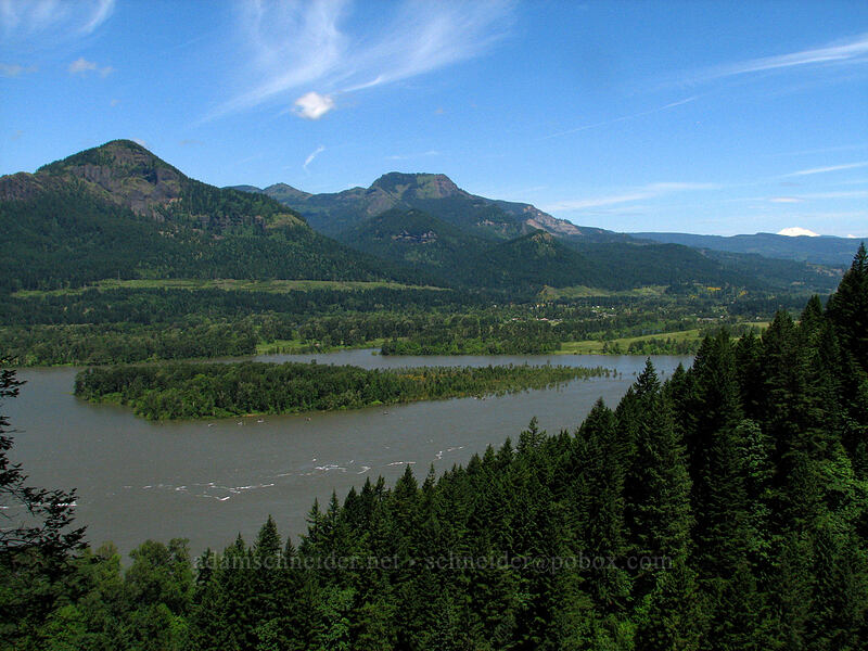 Hamilton Mountain, Table Mountain, & Mount Adams [Upper McCord Creek Falls Trail, John B. Yeon State Park, Multnomah County, Oregon]