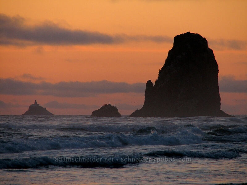 sea stacks at sunset [Tolovana Park, Cannon Beach, Clatsop County, Oregon]