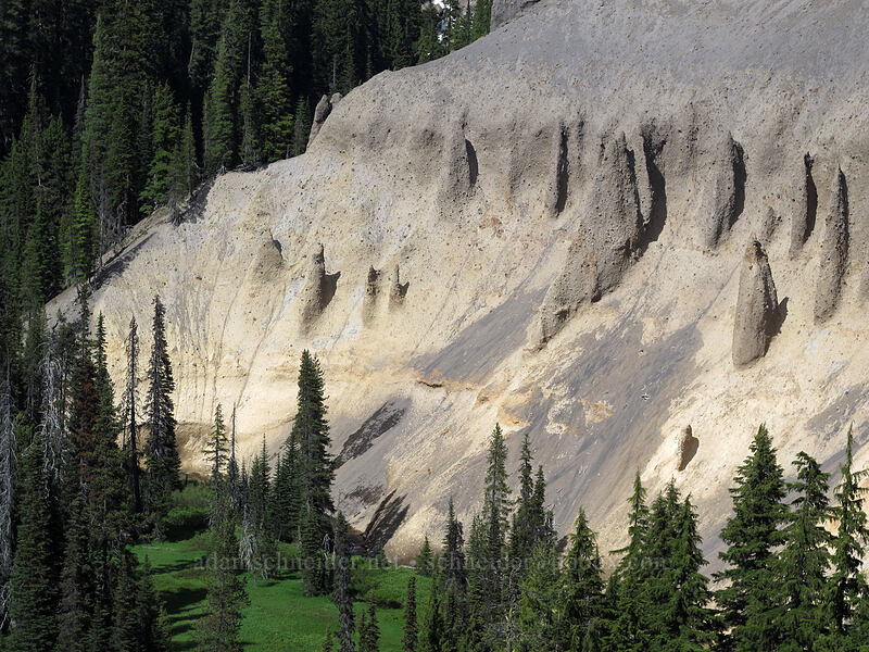 fossil fumaroles in Annie Creek Canyon [Crater Lake Highway, Crater Lake National Park, Klamath County, Oregon]