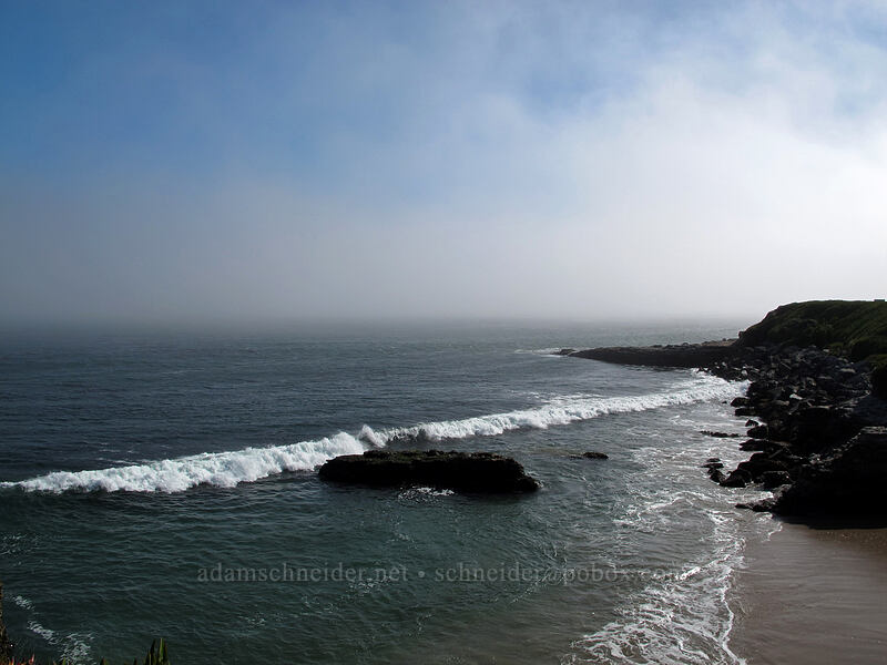 fog [West Cliff Drive, Santa Cruz, California]