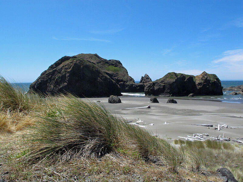 sea stacks [Meyers Creek Beach, Pistol River State Park, Curry County, Oregon]