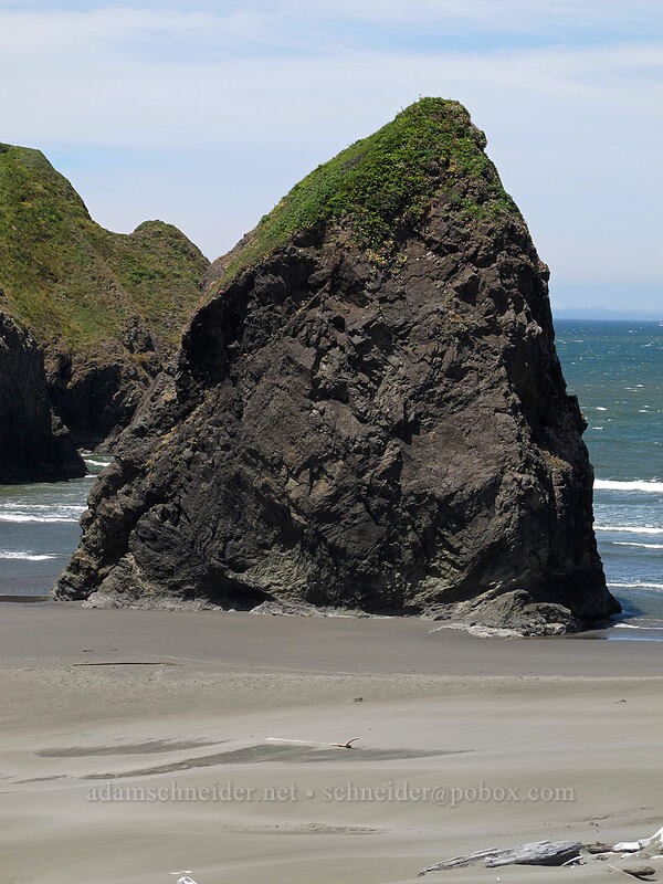 sea stack [Meyers Creek Beach, Pistol River State Park, Curry County, Oregon]