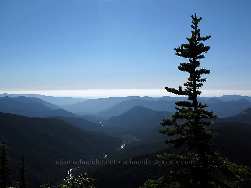 view to the west [McNeil Point Scramble Trail, Mt. Hood Wilderness, Clackamas County, Oregon]