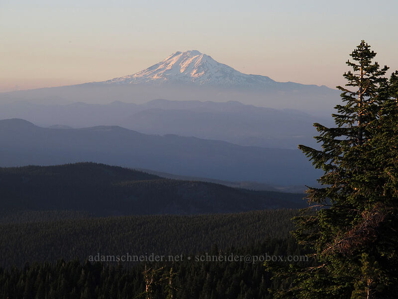 Mount Adams at sunset [McNeil Point, Mt. Hood Wilderness, Clackamas County, Oregon]