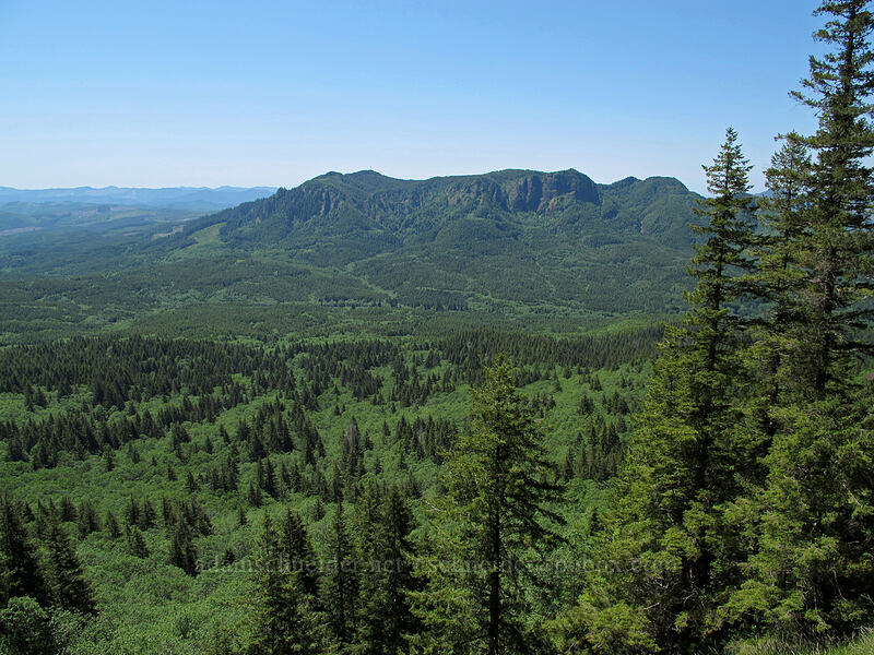 Humbug Mountain [Saddle Mountain, Clatsop County, Oregon]