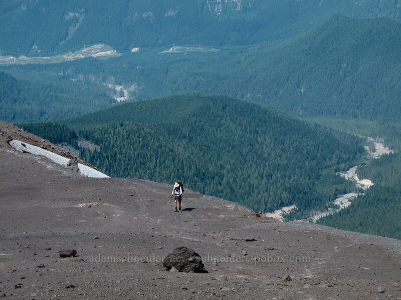 hiking above the Sandy River Valley [above Paradise Park, Mt. Hood Wilderness, Clackamas County, Oregon]