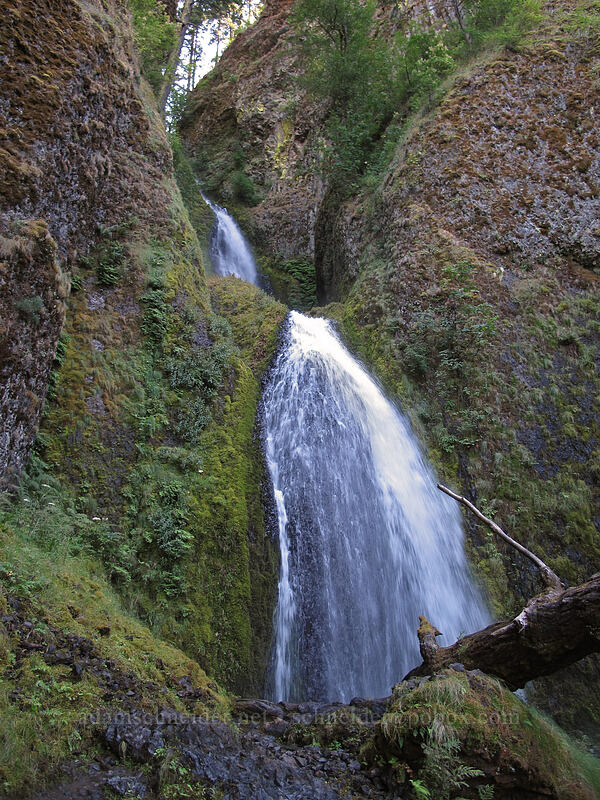 Wahkeena Falls [Wahkeena Falls Trailhead, Columbia River Gorge, Multnomah County, Oregon]