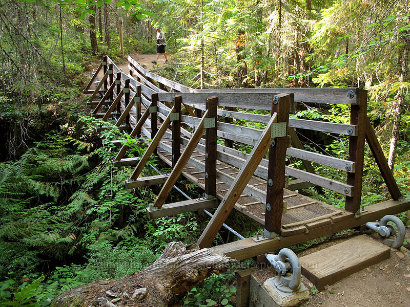 suspension bridge [Falls Creek, Gifford Pinchot Nat'l Forest, Skamania County, Washington]