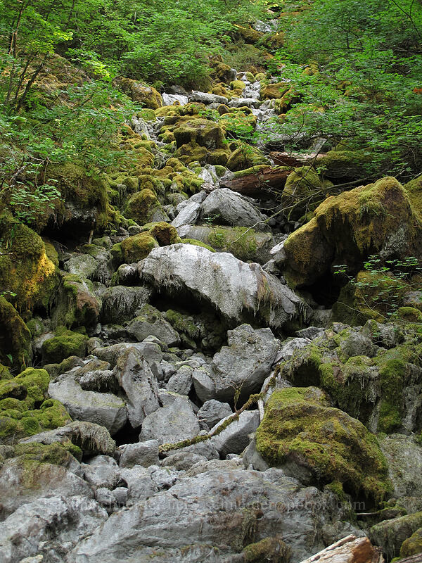 dry creek bed [Falls Creek, Gifford Pinchot Nat'l Forest, Skamania County, Washington]
