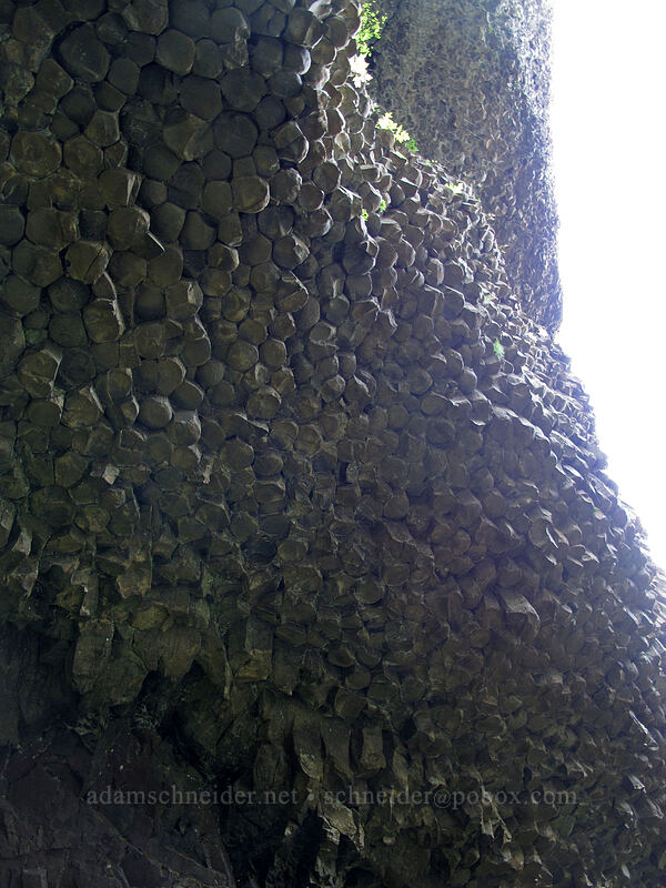 columnar basalt from below [Latourell Falls Trail, Multnomah County, Oregon]